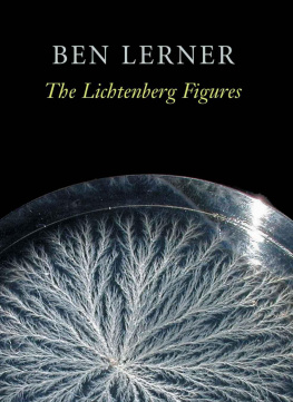 Ben Lerner - The Lichtenberg Figures