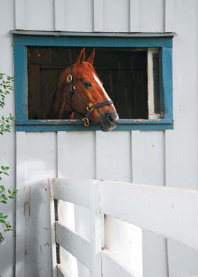 DISCOVER Kentucky To put Kentucky into words is hard because Kentucky is - photo 6