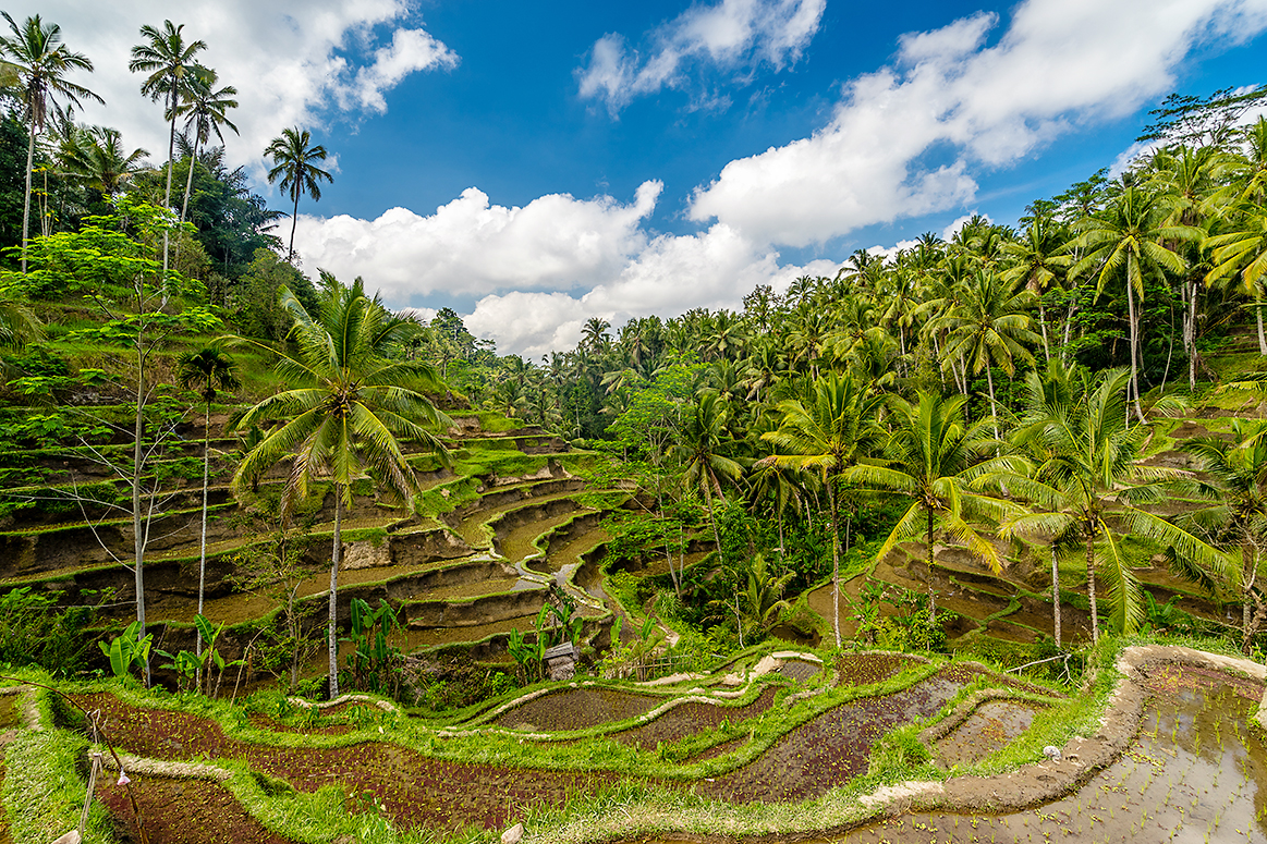 K ARJANA SHUTTERSTOCK Bali Top Sights Gili Trawangan An all-day - photo 9