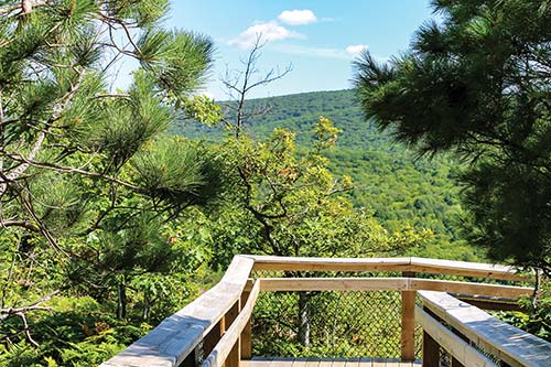 walkway at Porcupine Mountains Wilderness State Park Eastern Upper Peninsula - photo 13