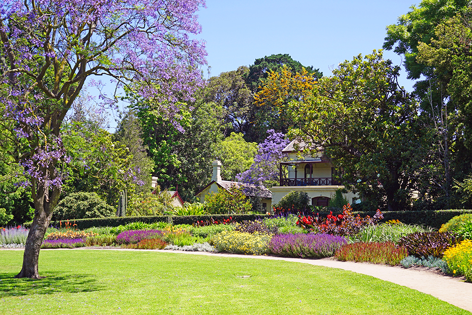 Royal Botanic Gardens EQRoyShutterstock Melbourne Top Sights NGV Inter - photo 7