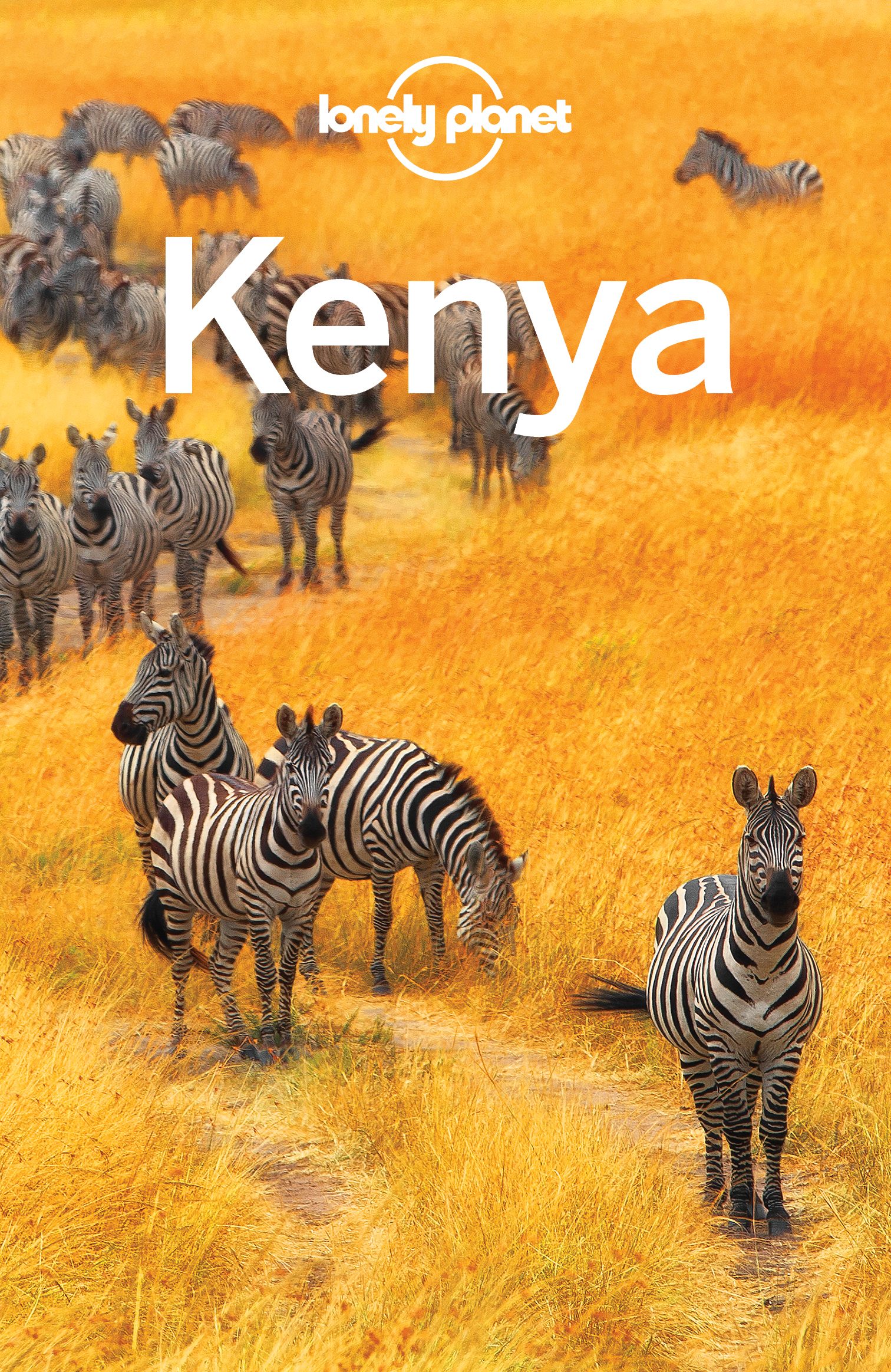 Lonely Planet Kenya - image 1