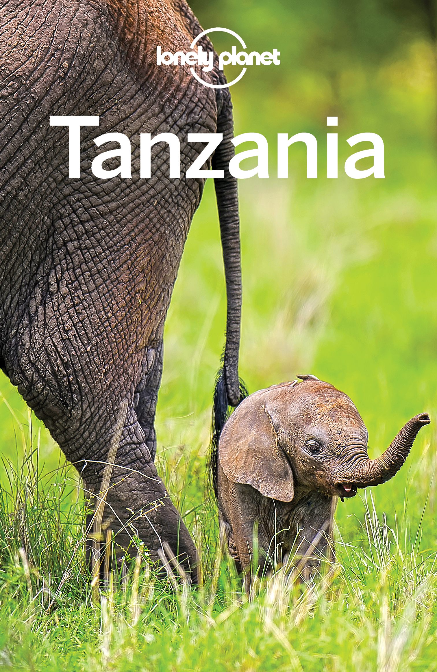 Tanzania - image 1