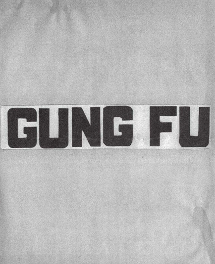 The Tao of Gung Fu A Study in the Way of Chinese Martial Art - photo 4