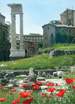 Roman Forum Dining near the Pantheon Rick Steves ROME 2018 - photo 18