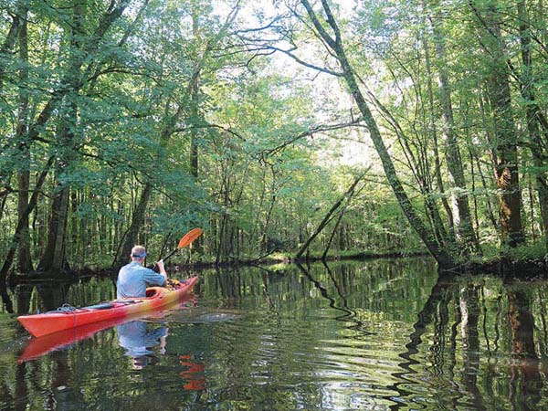 White Oak River While we cant pack the car for you we hope this book with - photo 5