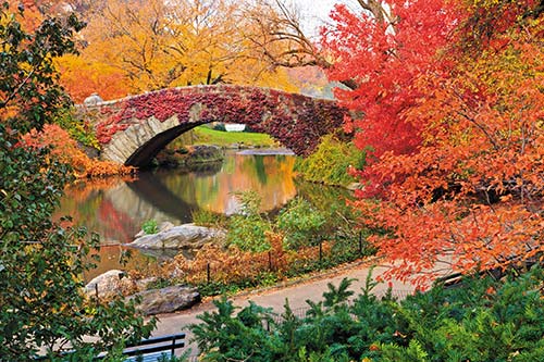 fall in Central Park New York Even those who have never strolled the streets - photo 8