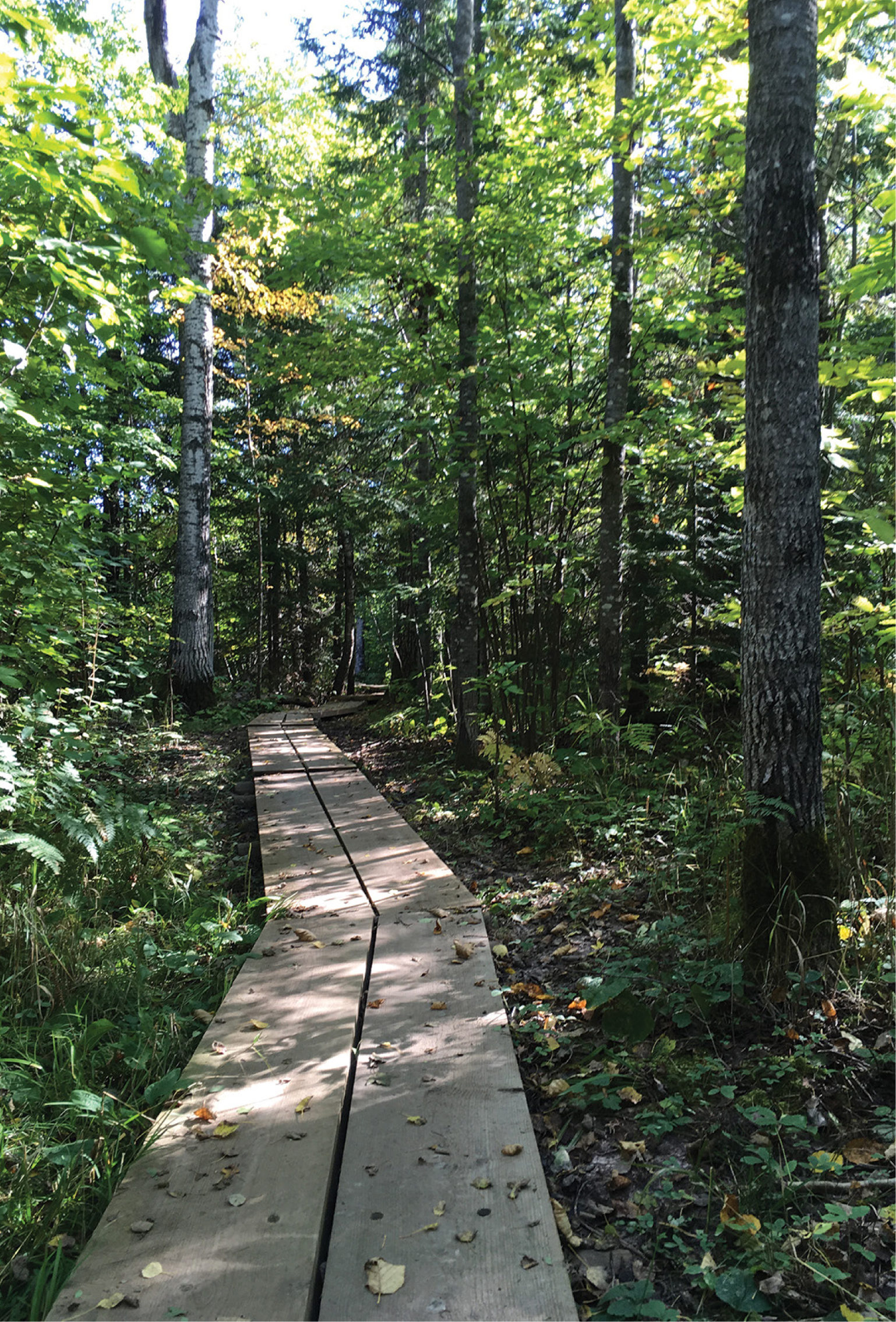 QUIET BOARDWALKS TAKE HIKERS TO LAKE SUPERIOR SEA CAVES ON THE LAKESHORE TRAIL - photo 15