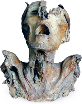 1 The head and shoulders of a cadaver sold on the antiquities market in 2003 - photo 4