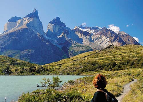 Parque Nacional Torres del Paine a solitary araucaria in front of Volcan - photo 13