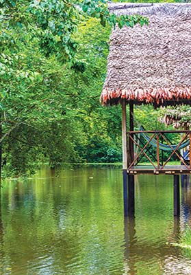 hammock on a balcony in the Amazon rainforest near Iquitos dancers on - photo 7