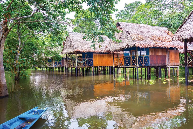 Rainforest Eco-Lodges Spend a few unforgettable days at one of the myriad - photo 21