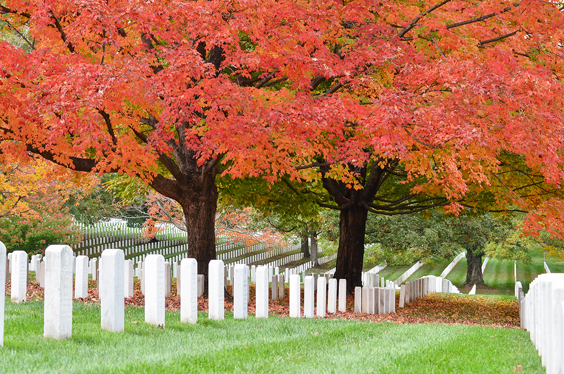 ORHAM CAM SHUTTERSTOCK Washington DC Top Sights Reynolds Center for - photo 14