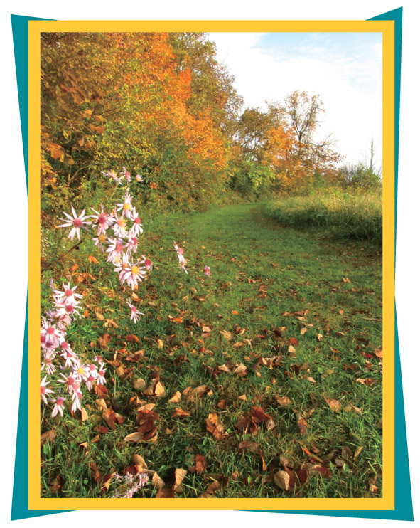 Fall colors border the grassy track Four impoundments comprise the Darby Bend - photo 5