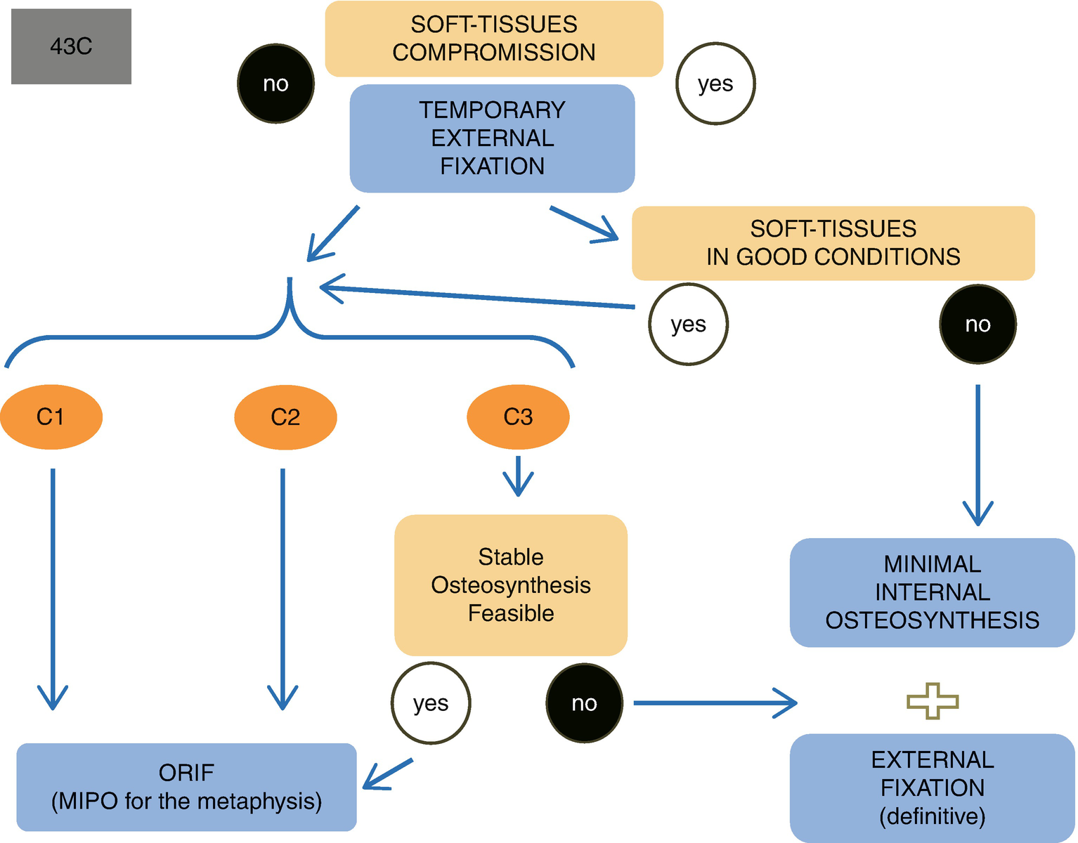 Fig 12 Example of decisional procedure that takes care of the complete joint - photo 2