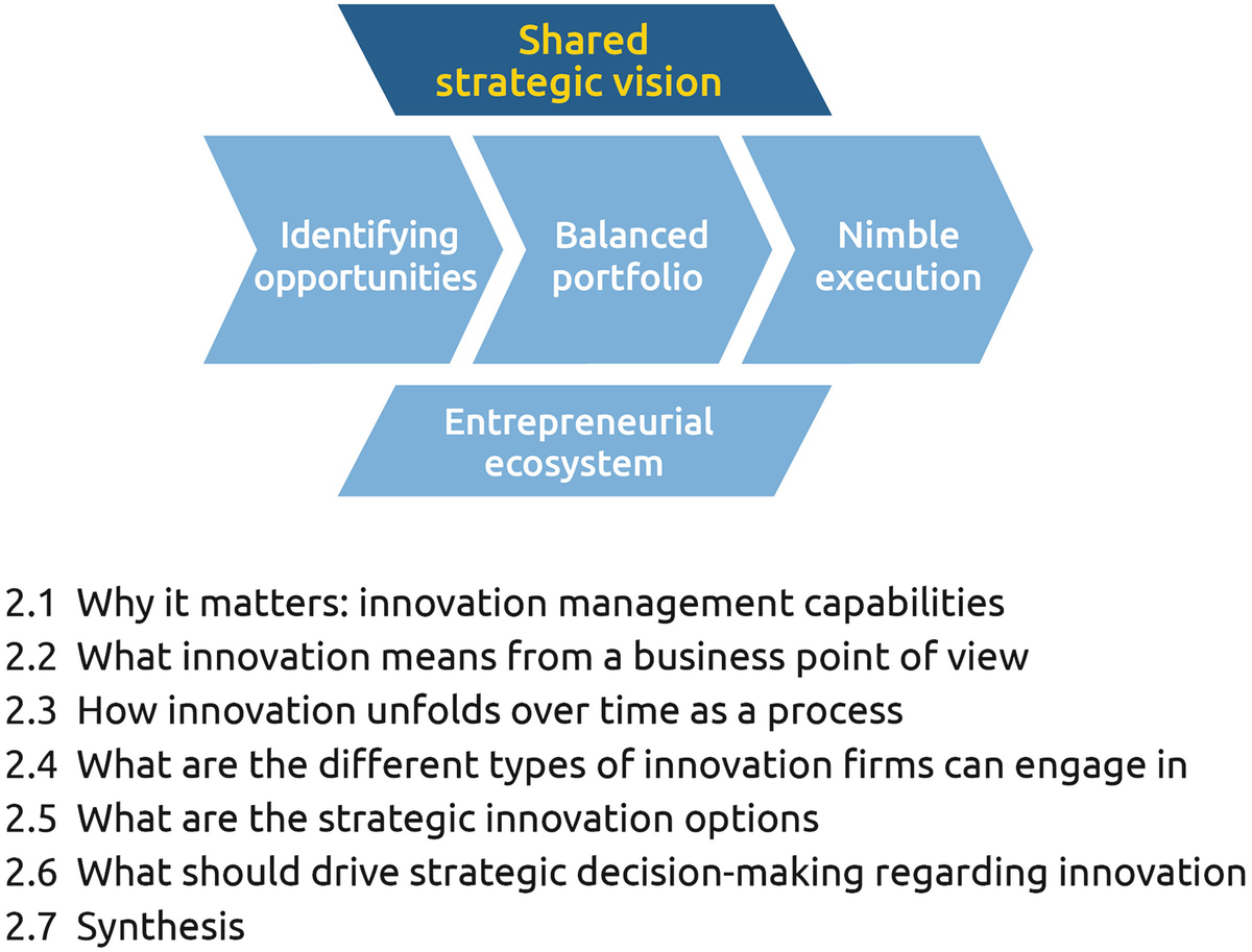 Fig 21 Building a shared strategic vision 21 Why It Matters Innovation - photo 1