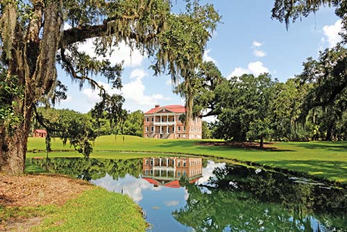 Drayton Hall near Charleston freshly picked Georgia peaches birds on an - photo 16