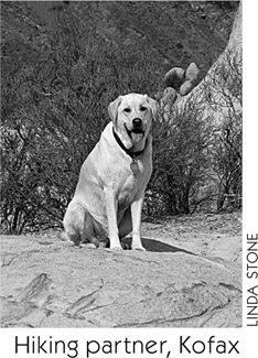 A LSO BY R OBERT S TONE Day Hikes On the California Central Coast Day Hikes - photo 2