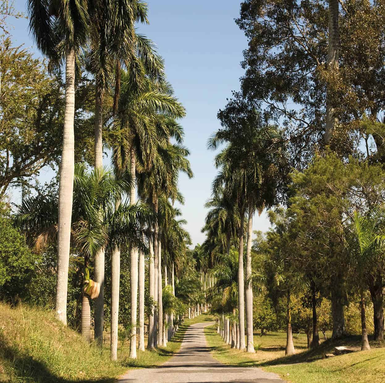 Escaping the crowds Off the beaten track visit the Jardn Botnico Soledad - photo 8