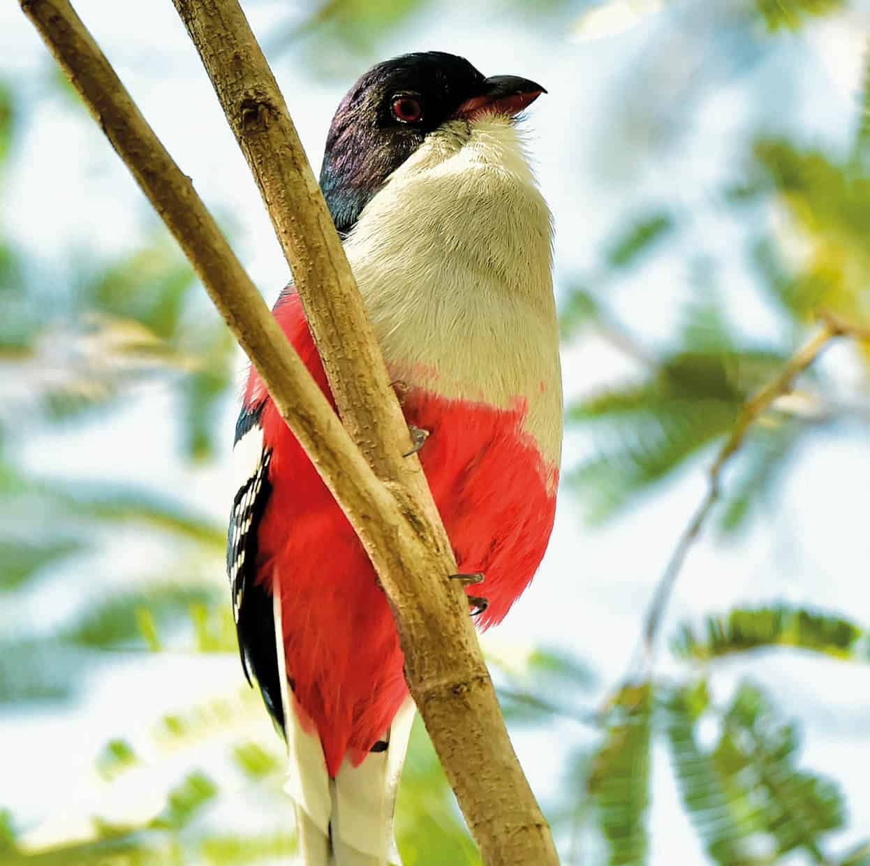 Birdwatching The Zapata peninsula iStock Escaping the crowds Off the - photo 7