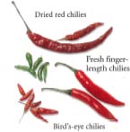 Chillies come in many sizes Fresh green and red finger-length chillies are - photo 7