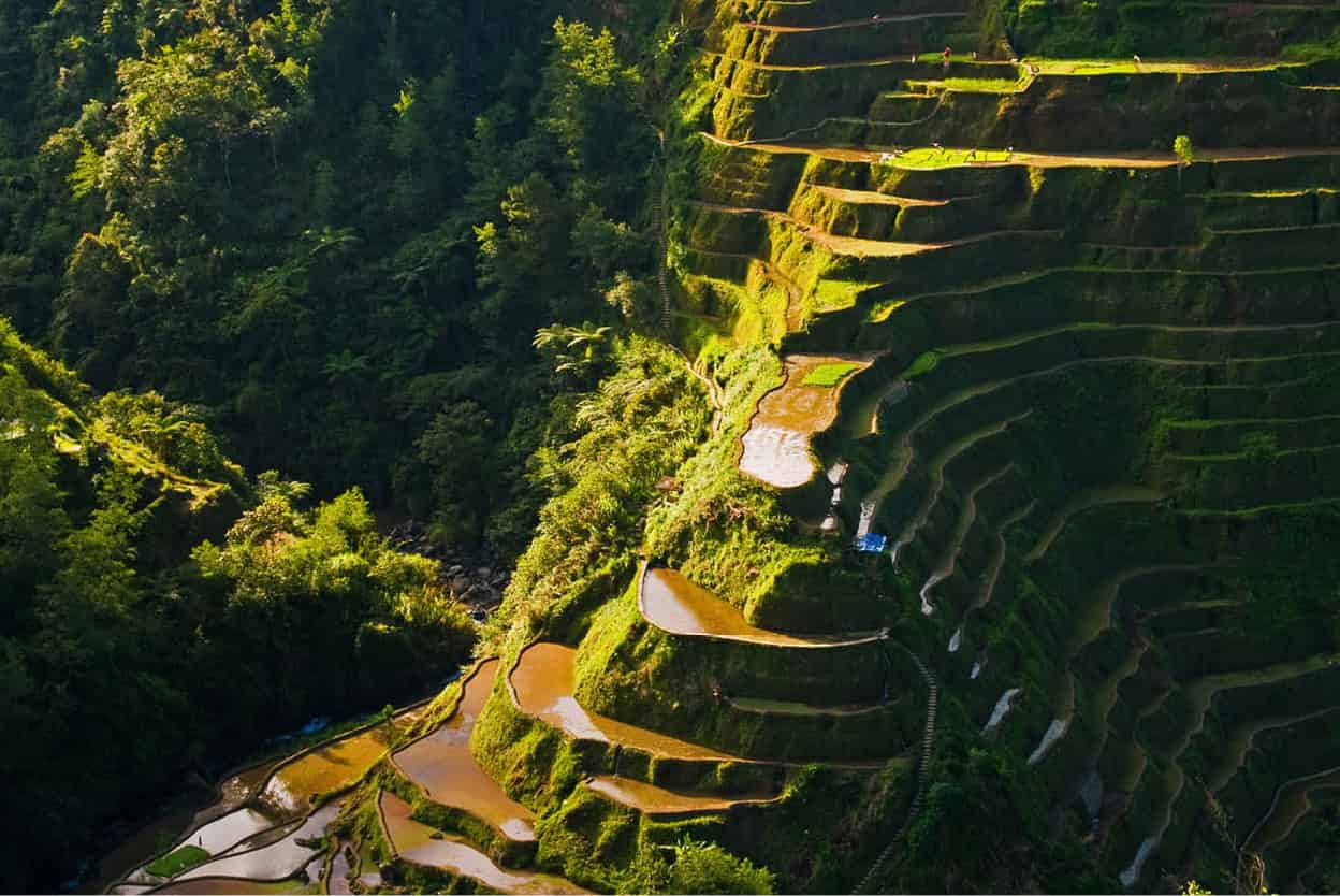 Ifugao rice terraces Perhaps the most spectacular sight in the Philippines - photo 6