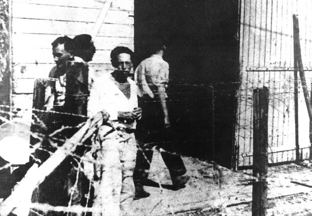 Lion Feuchtwanger facing camera behind the barbed wire in the brickyard - photo 14