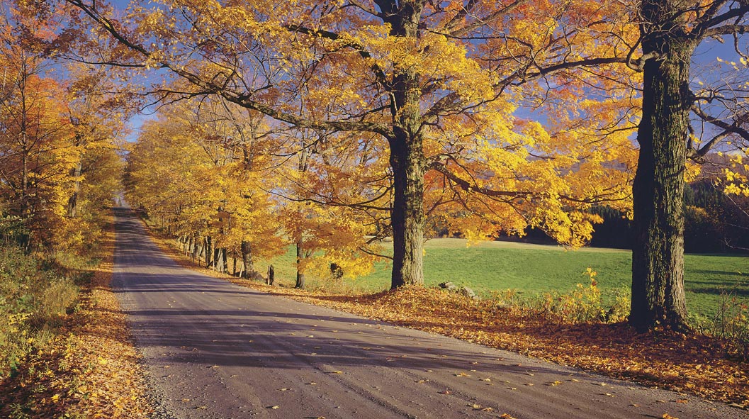 Fall Foliage Sugar maples in Peacham RON AND PATTY THOMAS GETTY IMAGES - photo 8