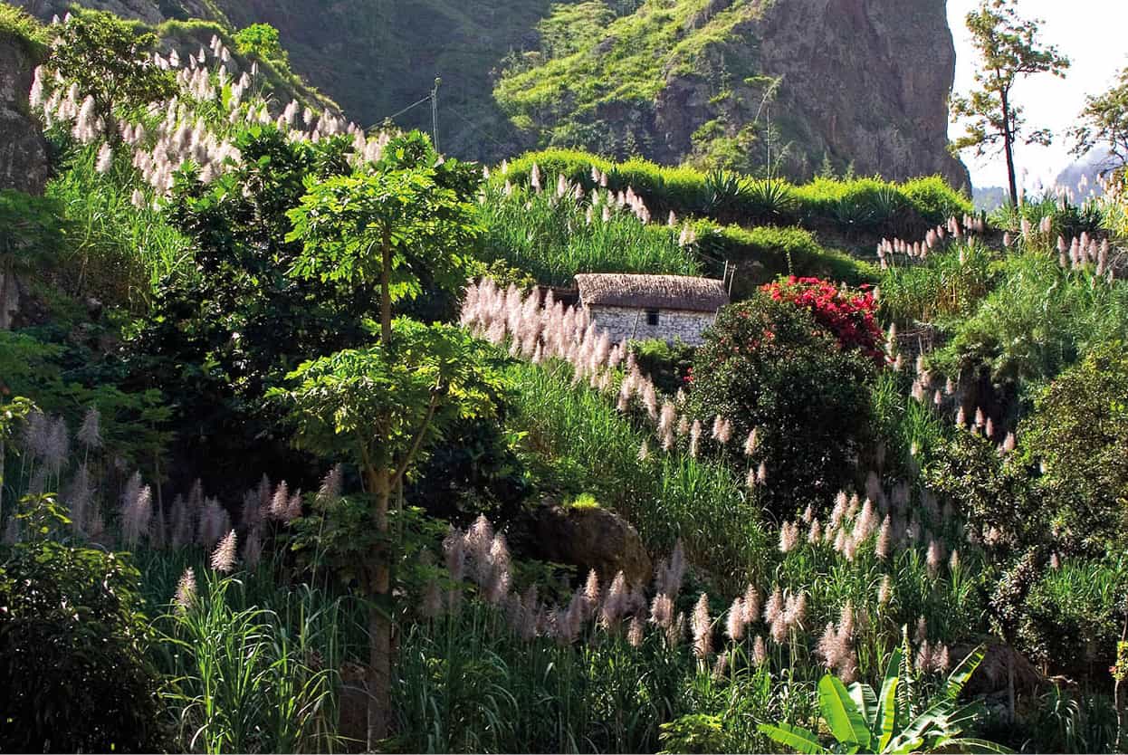 Top Attraction 6 Emma GreggApa Publications Vale do Pal Lush green hiking - photo 9