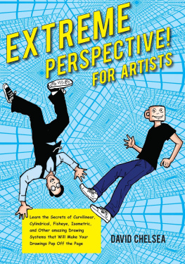 David Chelsea - Extreme Perspective! For Artists