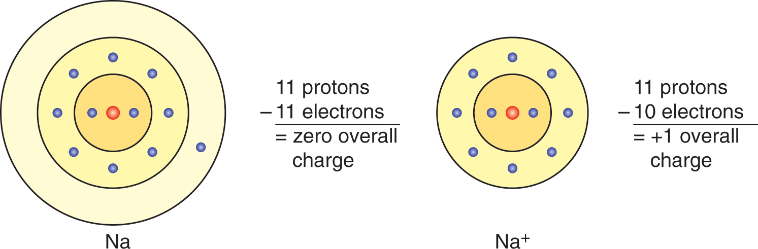 Figure 12 Positive Ion Formation The electron is removed from its path - photo 3