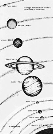 The first thing on earth that could properly be termed alive was a molecule - photo 3