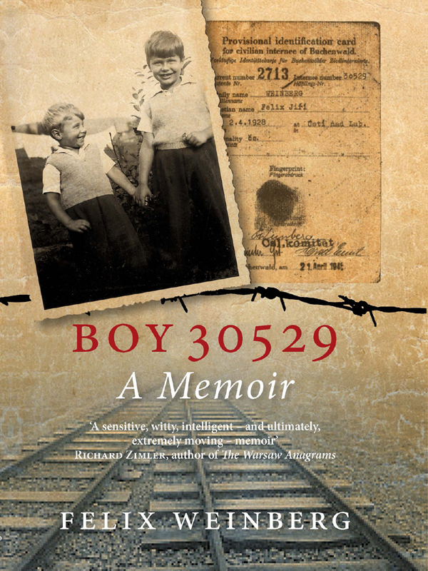 Boy 30529 - image 1