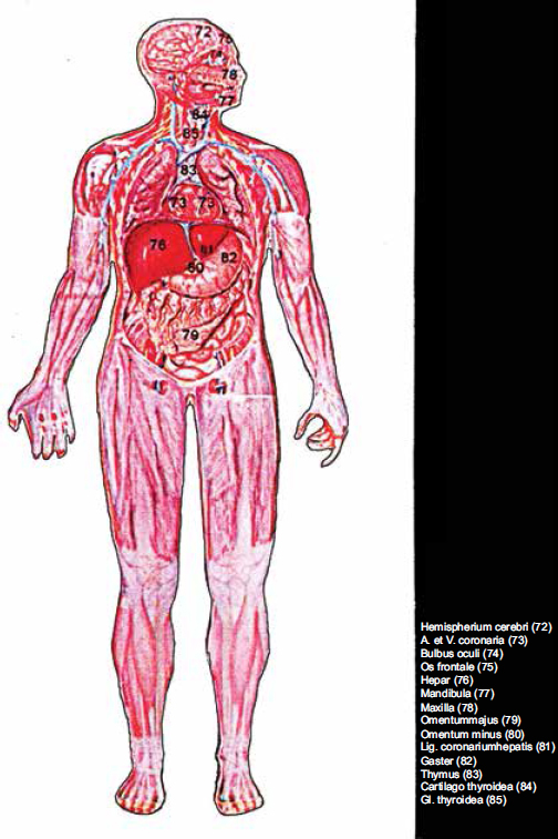 Appendix B - photo 5