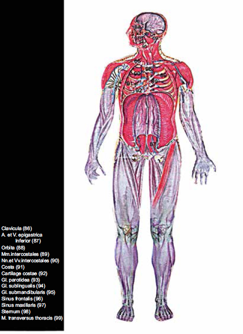 Appendix B - photo 6