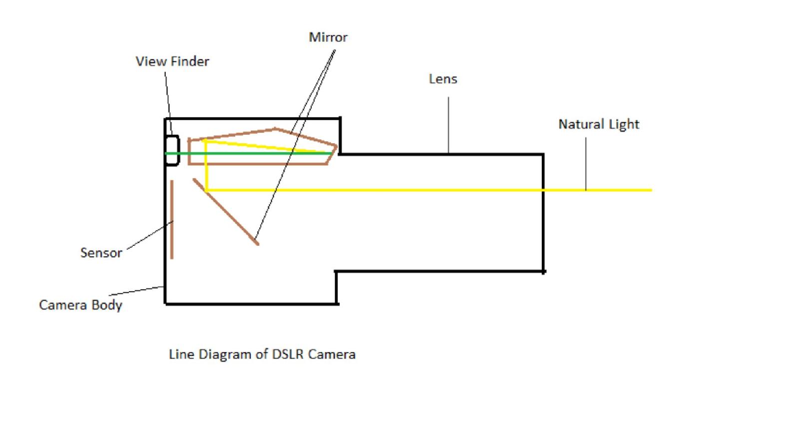 What is a Sensor The soul of a digital camera is its sensorto determine - photo 1