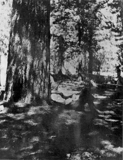 John Muir relaxing on Little Kern River ca 1908 probably during a Sierra - photo 2