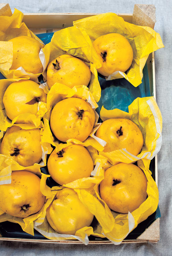 salt sugar smoke how to preserve fruit vegetables meat and fish DIANA HENRY - photo 2