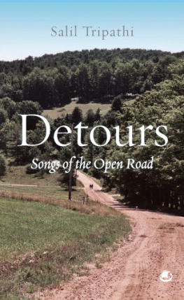 Salil Tripathi - Detours: Songs of the Open Road