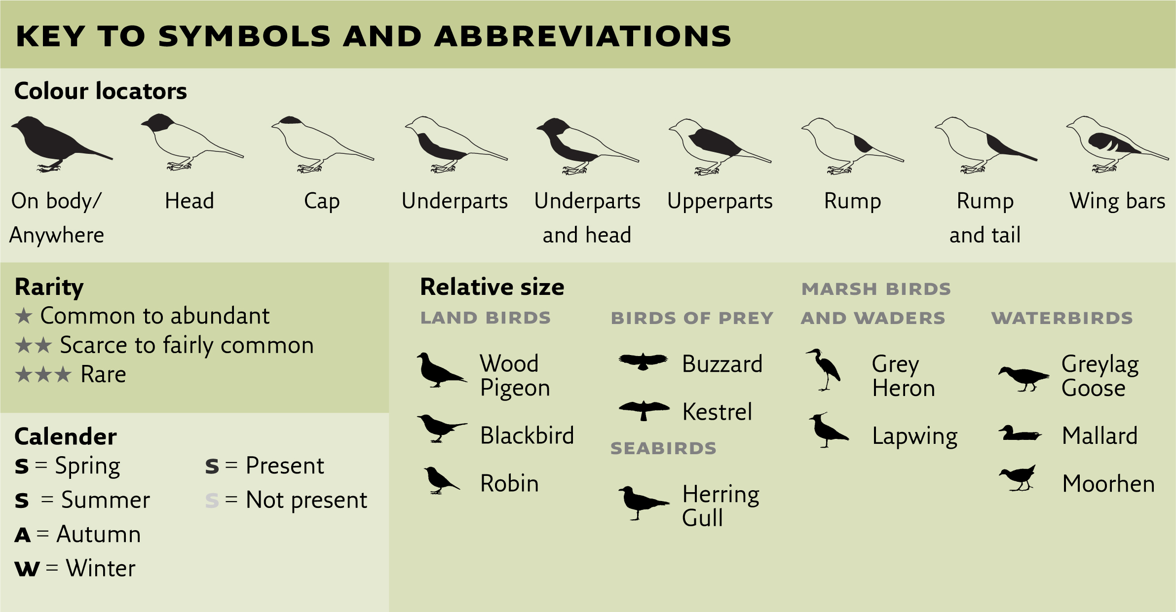 Relative sizes of birds Most books on bird identification give absolute - photo 5