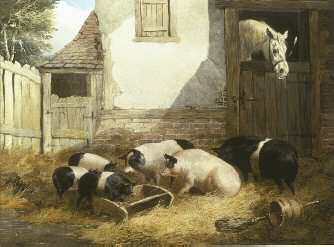 John Frederick Herring Sr 17951865 A Family of Pigs oil on canvas Although - photo 5