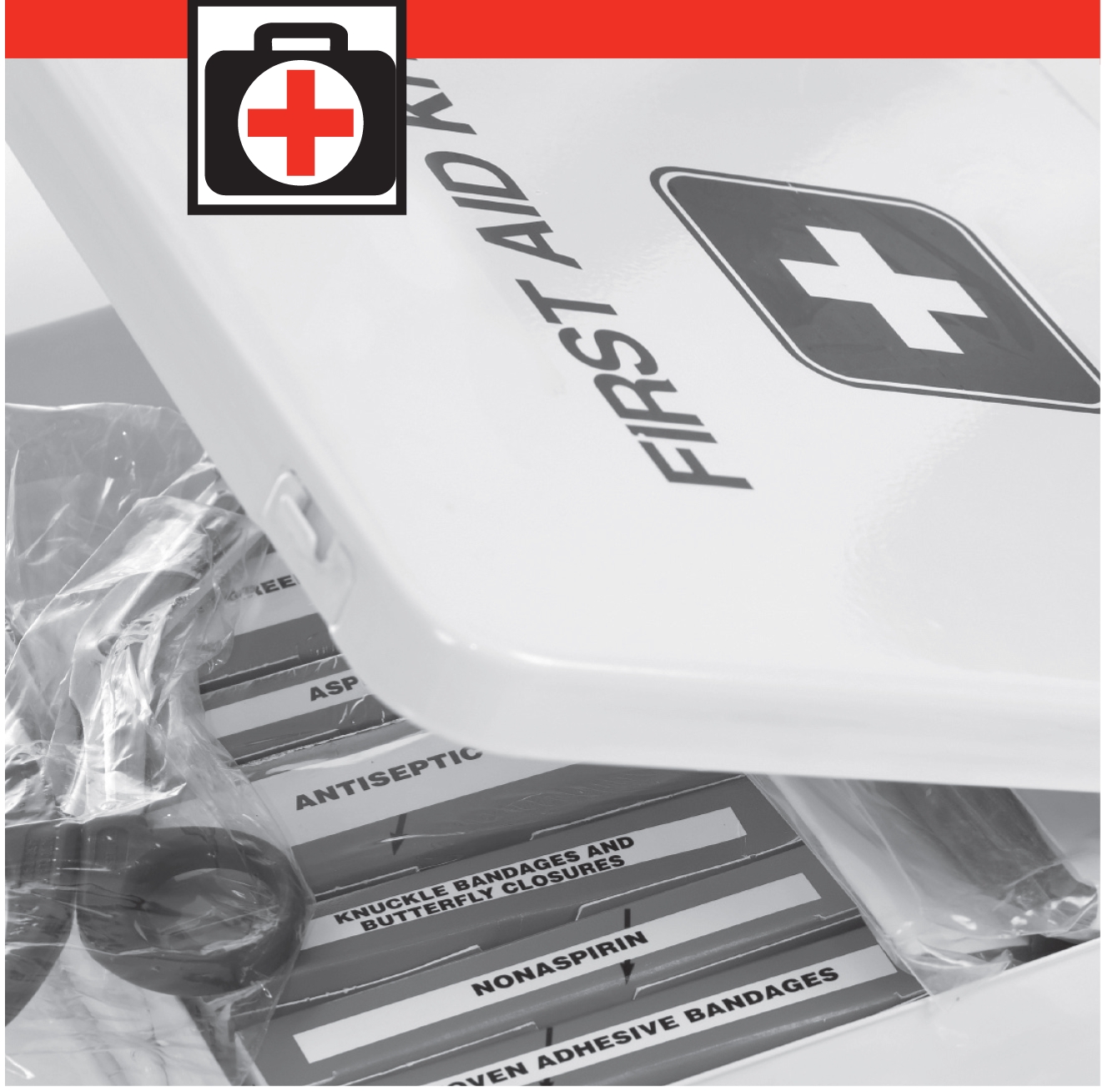 First-aid kits are available in models ranging from basic to very elaborate - photo 2