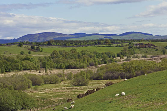 The view from Dyfnant Forest at Pren Croes Day 7 Glyndrs Way is named after - photo 8