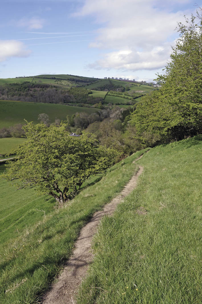 A path follows Offas Dyke closely away from the hill called Hergan Day 11 - photo 4