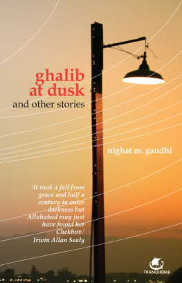 Nighat M Gandhi Ghalib at Dusk