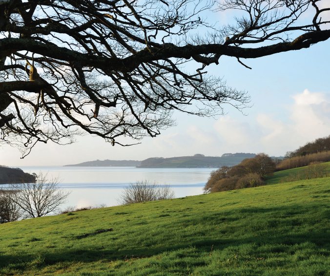 Grass meets water meets sky Trelissick towards Falmouth From here the lie of - photo 7