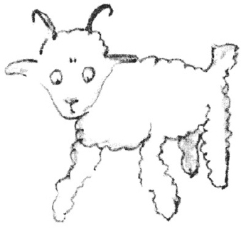 My friend smiled kindly See for yourself he said It is a ram with horns not - photo 6
