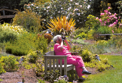 Binoculars and a comfortable bench are all you need for a close-up view of the - photo 13