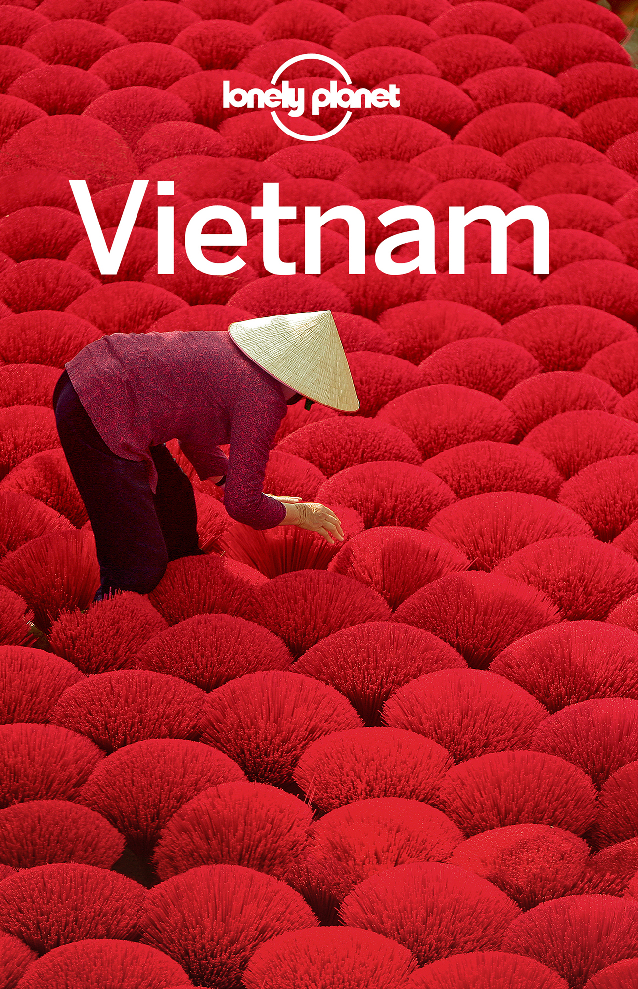 Vietnam - image 1