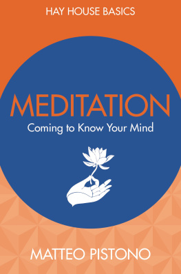 Matteo Pistono Meditation: Coming to Know Your Mind